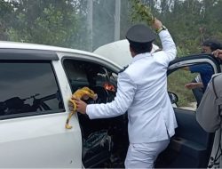 BREAK NEWS: Usai Dilantik, Mobil Kades Terbakar