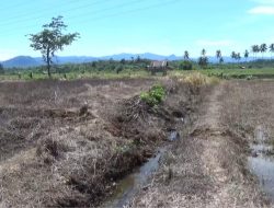 Irigasi Rusak, Jadwal Penanaman di Padang Segaro Tertunda