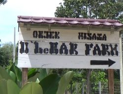 Taman Rekreasi Agrowisata Mulai Diperkenalkan