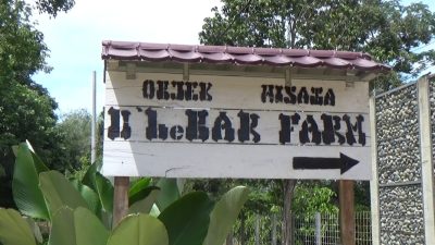 Taman Rekreasi Agrowisata Mulai Diperkenalkan